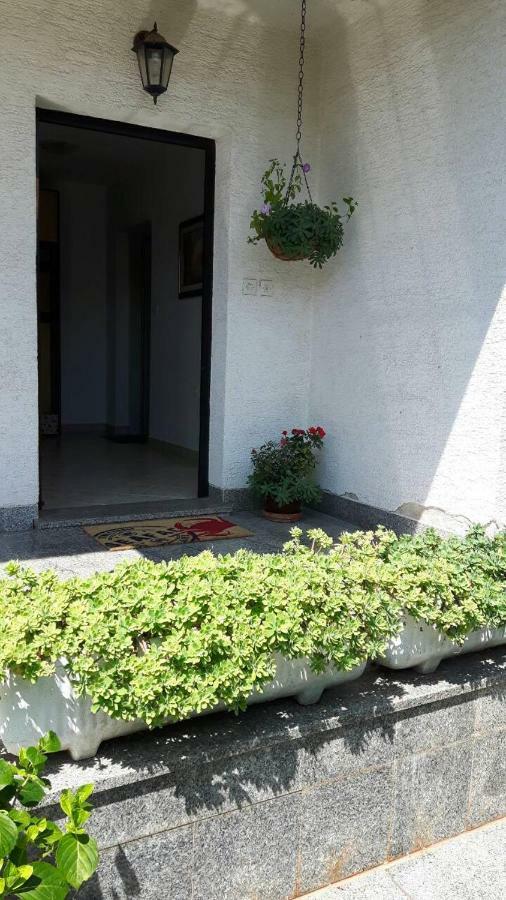 App Bajic Apartamento Umago Exterior foto